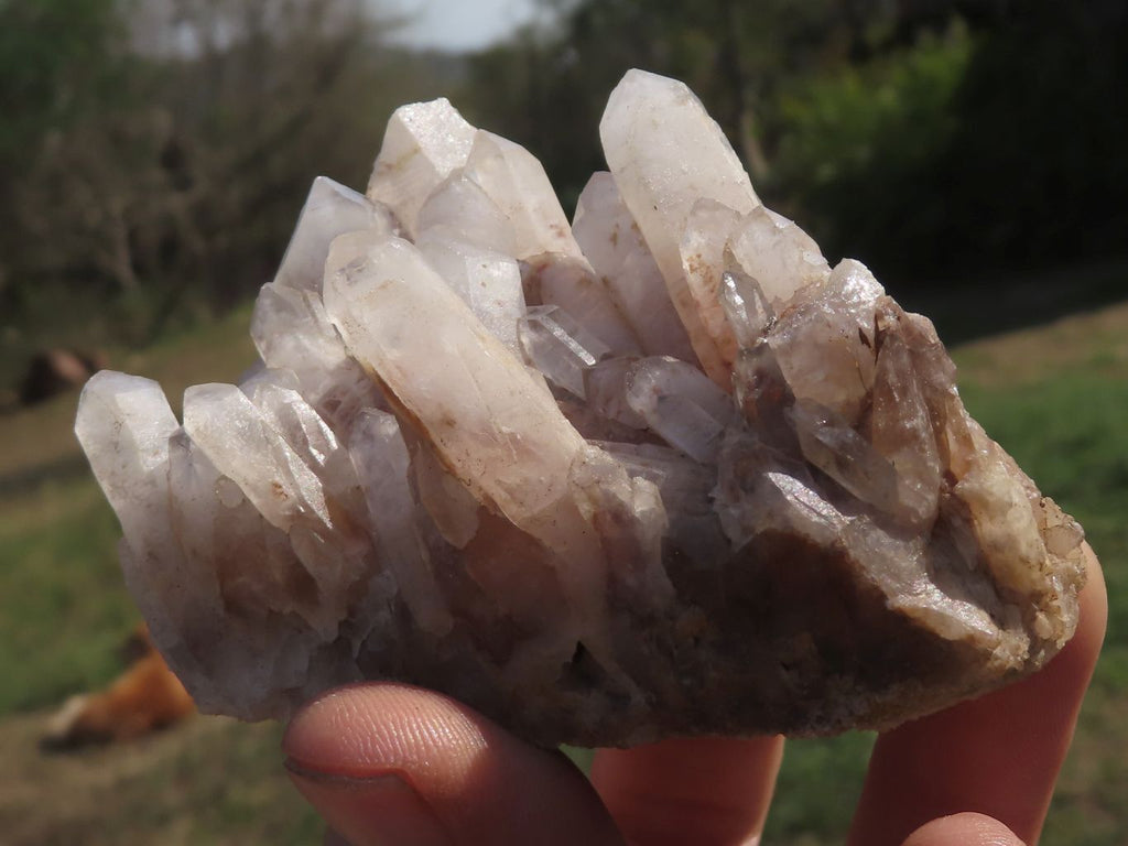 Natural Mixed Selection Of Quartz Clusters x 12 From Mandrosonoro, Madagascar - TopRock