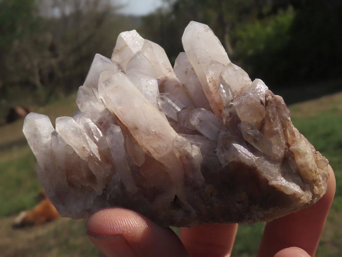 Natural Mixed Selection Of Quartz Clusters x 12 From Mandrosonoro, Madagascar - TopRock