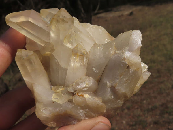 Natural Mixed Selection Of Quartz Clusters x 12 From Mandrosonoro, Madagascar - TopRock