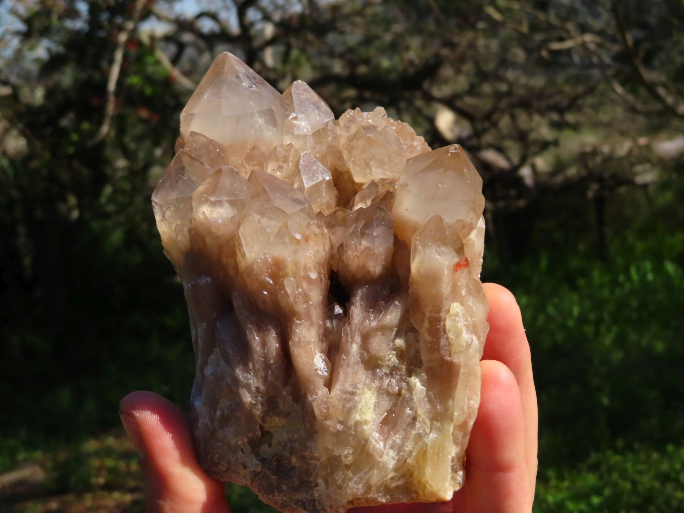 Natural Classic Cascading Smokey Phantom Quartz Clusters x 3 From Lwena, Congo - TopRock