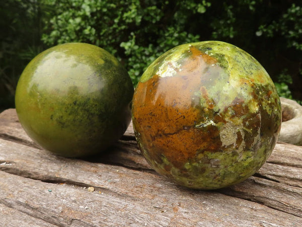 Polished Stunning Green Opal Spheres  x 2 From Madagascar - TopRock