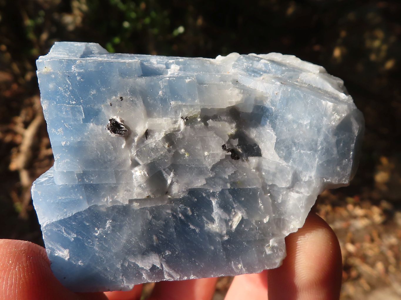 Natural New Sky Blue Calcite Specimens  x 12 From Spitzkop, Namibia - Toprock Gemstones and Minerals 