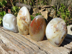 Polished Agate Standing Free Forms x 4 From Madagascar - Toprock Gemstones and Minerals 