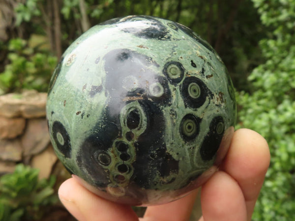 Polished Stromatolite / Kambamba Jasper Spheres  x 4 From Madagascar - TopRock