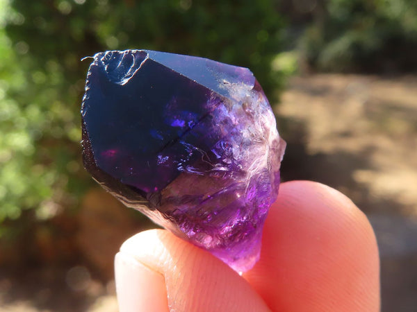 Natural Mini Smokey Amethyst Window Quartz Crystals  x 70 From Chiredzi, Zimbabwe - Toprock Gemstones and Minerals 