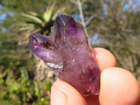 Natural Mini Smokey Amethyst Window Quartz Crystals  x 70 From Chiredzi, Zimbabwe - Toprock Gemstones and Minerals 