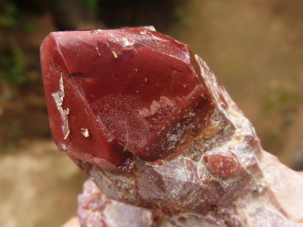 Polished Red Hematoid Quartz Crystals & Clusters  x 3 From Karoi, Zimbabwe - TopRock