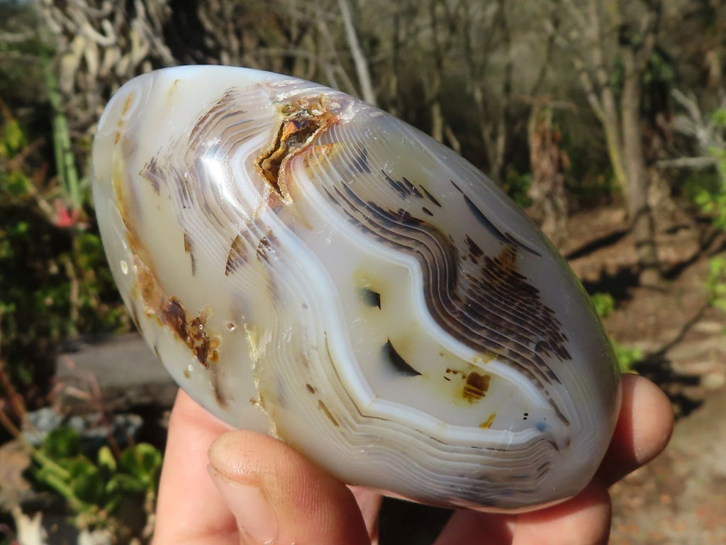 Polished Agate Standing Free Forms x 4 From Madagascar - Toprock Gemstones and Minerals 