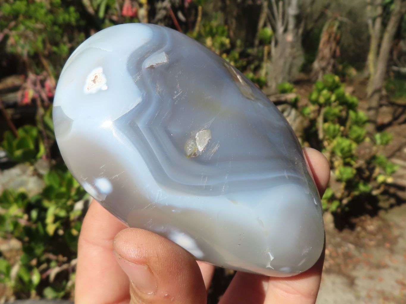 Polished Agate Standing Free Forms x 4 From Madagascar - Toprock Gemstones and Minerals 