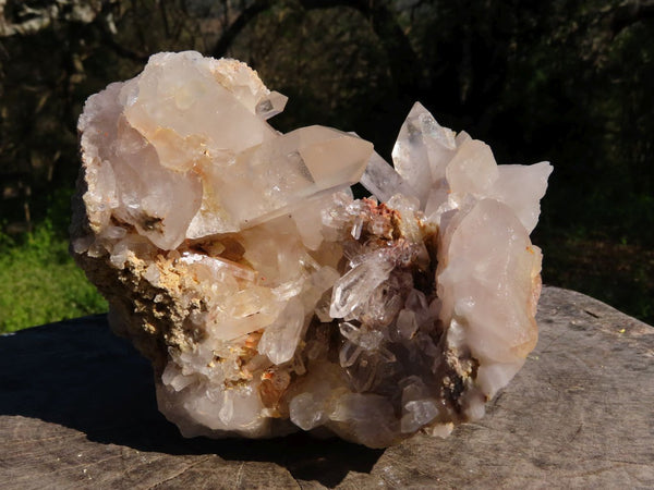 Natural Clear Quartz Sandwich Crystal Cluster x 1 From Madagascar - TopRock