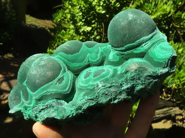 Natural Large Botryoidal Crystalline Malachite Specimen  x 1 From Kasompe, Congo - Toprock Gemstones and Minerals 