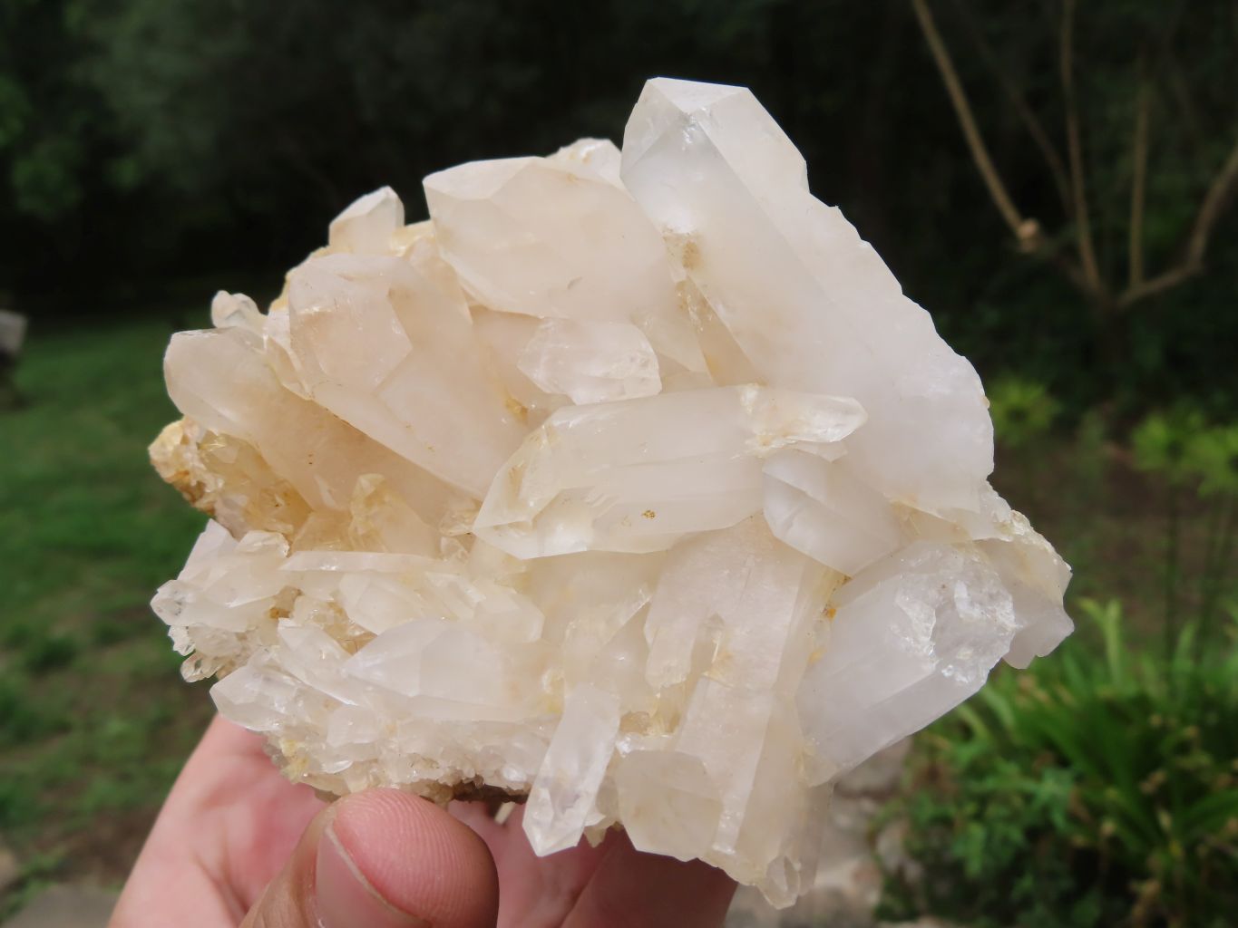 Natural Small Décor Quartz Clusters x 3 From Madagascar - TopRock