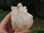 Natural Small Décor Quartz Clusters x 3 From Madagascar - TopRock