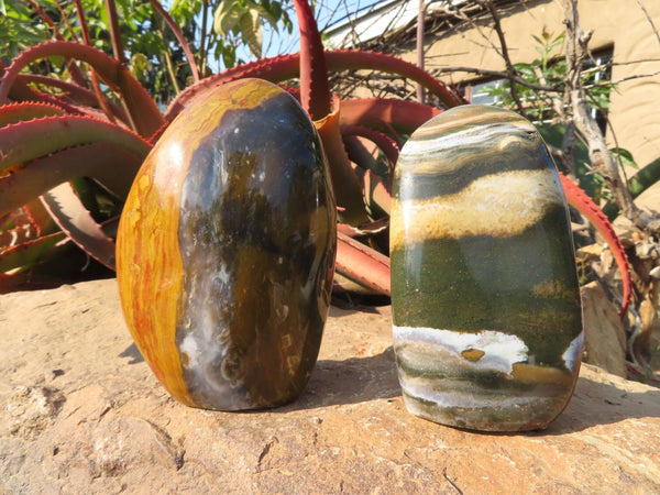 Polished Ocean Jasper Standing Free Forms x 2 From Marovato, Madagascar - TopRock
