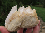 Natural Small Décor Quartz Clusters x 3 From Madagascar - TopRock