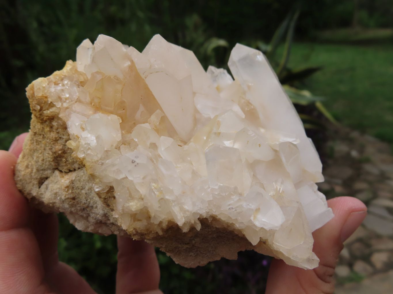 Natural Small Décor Quartz Clusters x 3 From Madagascar - TopRock