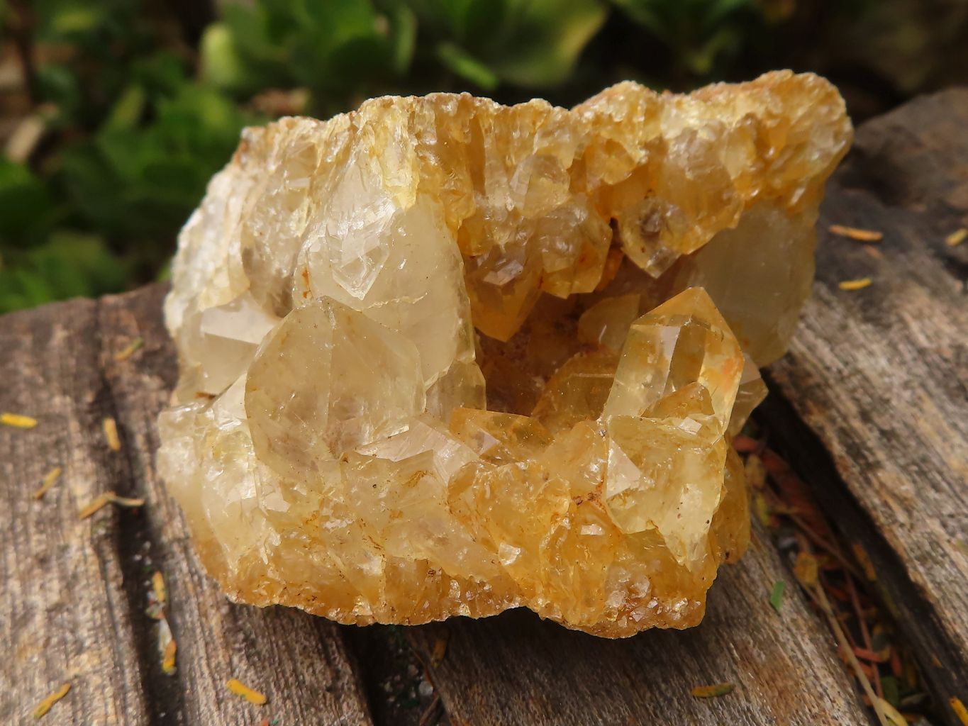 Natural Golden Limonite / Lemonite Quartz Clusters  x 24 From Zambia - TopRock