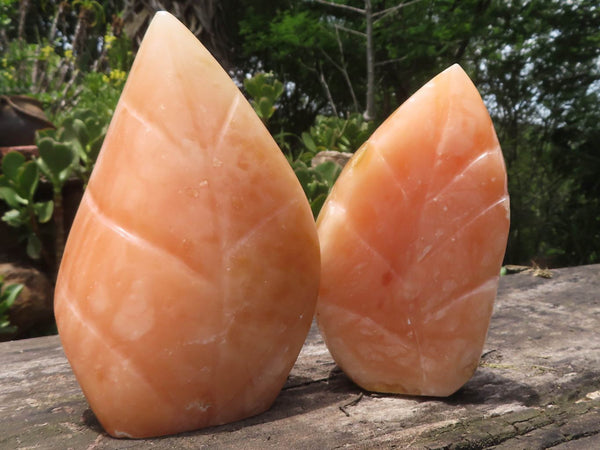Polished Pair Of Orange Twist Calcite Standing Leaf Sculptures x 2 From Madagascar - TopRock