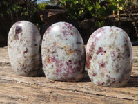Polished Rubellite Pink Tourmaline Standing Free Forms x 3 From Ambatondrazaka, Madagascar - Toprock Gemstones and Minerals 