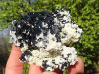 Natural Schorl Black Tourmaline Specimens x 12 From Erongo, Namibia
