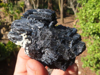 Natural Schorl Black Tourmaline Specimens x 12 From Erongo, Namibia