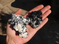 Natural Schorl Black Tourmaline Specimens x 12 From Erongo, Namibia