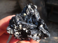 Natural Schorl Black Tourmaline Specimens x 12 From Erongo, Namibia