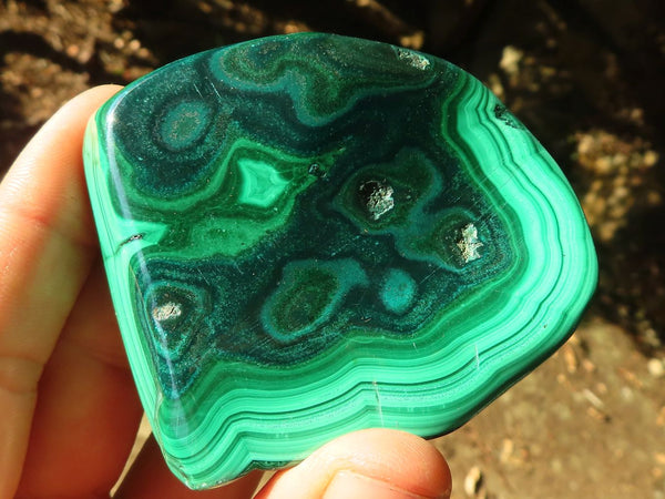 Polished Flower Banded Malachite Free Forms  x 6 From Congo