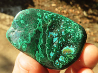 Polished Flower Banded Malachite Free Forms  x 6 From Congo - Toprock Gemstones and Minerals 