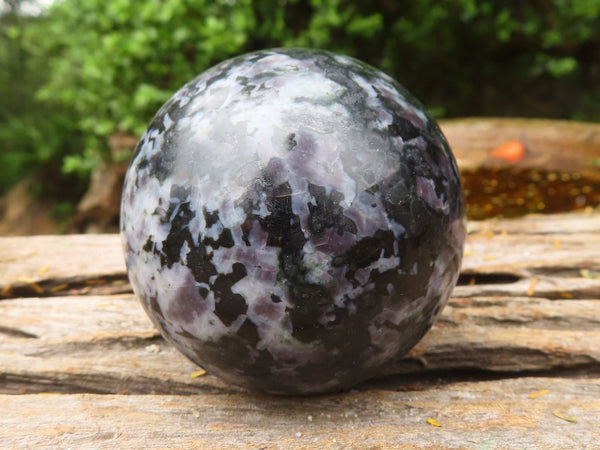 Polished  Merlinite Gabbro Spheres  x 6 From Madagascar - TopRock