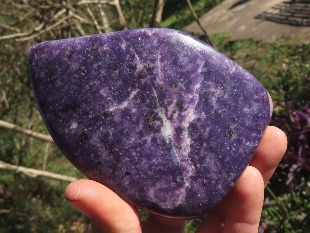 Polished Dark Purple Lithium Mica Lepidolite Free Forms  x 2 From Zimbabwe - TopRock