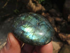 Polished Labradorite Gallets with Selected Flash (Palm Stones) - sold per kg - From Tulear, Madagascar - TopRock