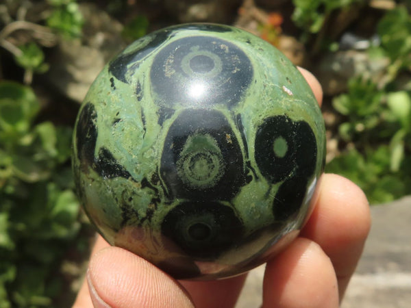 Polished Stromatolite / Kambamba Jasper Spheres  x 6 From Mahajanga, Madagascar - TopRock