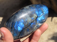 Polished Labradorite Standing Free Forms  x 2 From Tulear, Madagascar - Toprock Gemstones and Minerals 