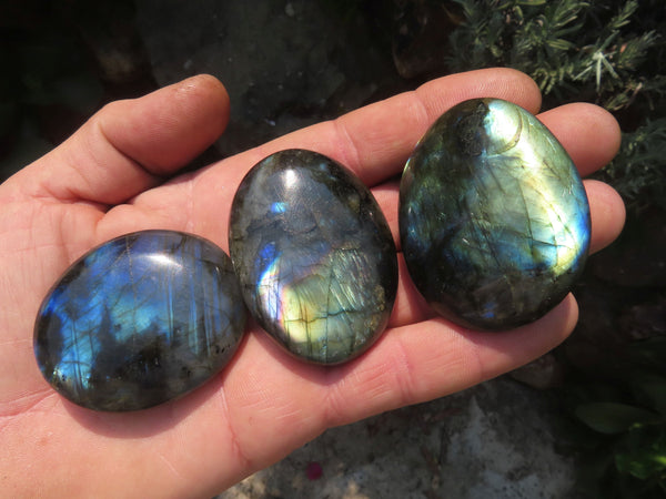 Polished Labradorite Gallets with Selected Flash (Palm Stones) - sold per kg - From Tulear, Madagascar - TopRock