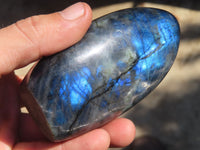 Polished Labradorite Standing Free Forms  x 2 From Tulear, Madagascar - Toprock Gemstones and Minerals 