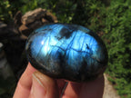 Polished Labradorite Gallets with Selected Flash (Palm Stones) - sold per kg - From Tulear, Madagascar - TopRock