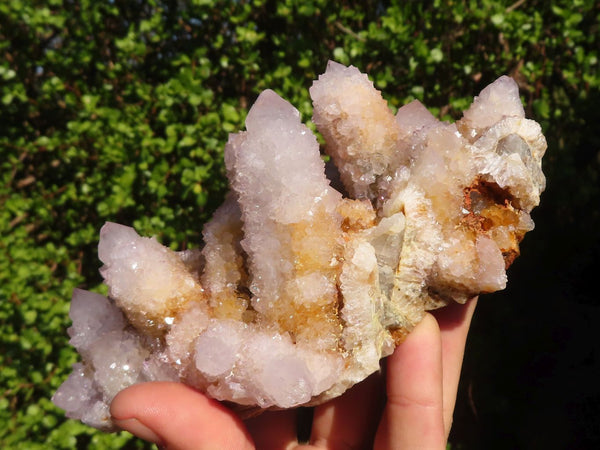 Natural Spirit Quartz Clusters With Golden Limonite  x 2 From Boekenhouthoek, South Africa