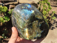 Polished Labradorite Standing Free Forms  x 2 From Tulear, Madagascar - Toprock Gemstones and Minerals 