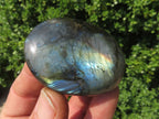 Polished Labradorite Gallets with Selected Flash (Palm Stones) - sold per kg - From Tulear, Madagascar - TopRock