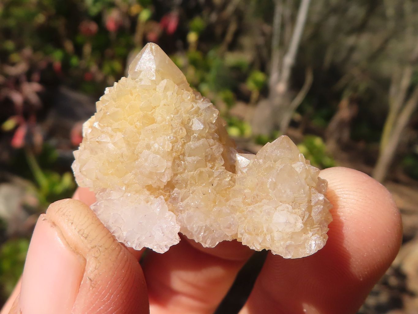 Natural Small White Spirit Quartz Specimens x 70 From Boekenhouthoek, South Africa - Toprock Gemstones and Minerals 