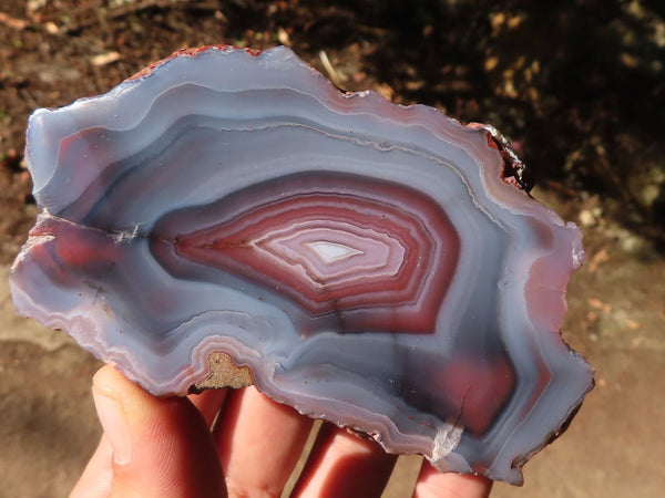 Polished Banded Red River Agate Nodules  x 4 From Sashe River, Zimbabwe