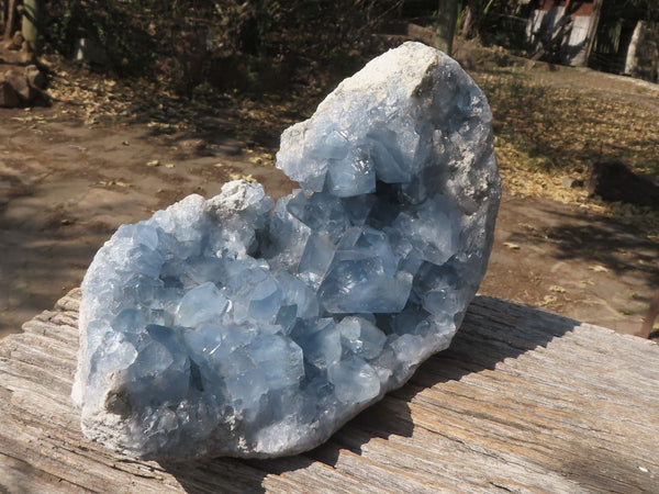Natural Blue Celestite Specimen With Large Cubic Crystals x 1 From Sakoany, Madagascar
