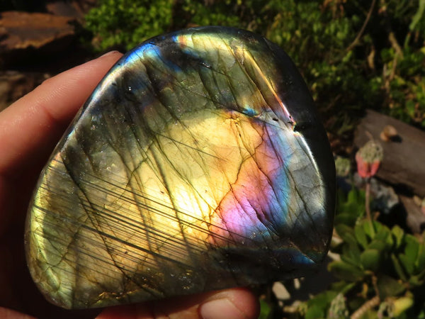 Polished Labradorite Standing Free Forms With Intense Blue & Gold Flash x 3 From Tulear, Madagascar - Toprock Gemstones and Minerals 