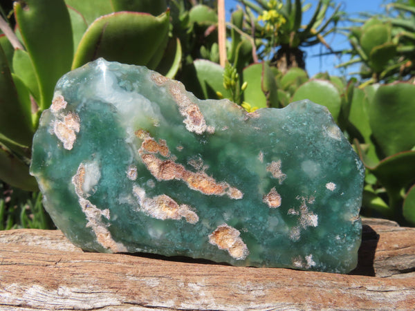 Polished  One Side Emerald Chrysoprase Mtorolite Slices x 12 From Mutorashanga, Zimbabwe - TopRock
