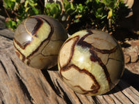 Polished Septaria Spheres x 2 From Madagascar - Toprock Gemstones and Minerals 