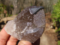 Natural Smokey Quartz Crystal Specimens x 3 From Malawi - Toprock Gemstones and Minerals 