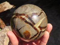 Polished Septaria Spheres x 2 From Madagascar - Toprock Gemstones and Minerals 