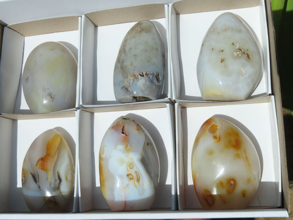 Polished Agate Standing Free Forms x 6 From Madagascar - TopRock