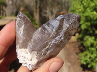 Natural Smokey Quartz Crystal Specimens x 3 From Malawi - Toprock Gemstones and Minerals 